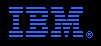 IBM logo